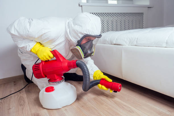 Best Pest Prevention Services  in Glenwood City, WI