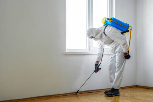 Best Pest Removal Services  in Glenwood City, WI